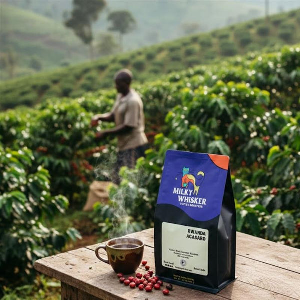Whole bean Coffee